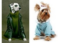 Manteau chien, v�tement pour chiens : les conseils de MorinFrance.com